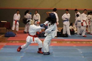 Selectivo estatal karate 2017 (5)