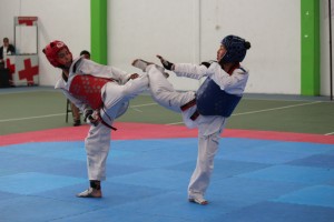 Taekwondo (2)